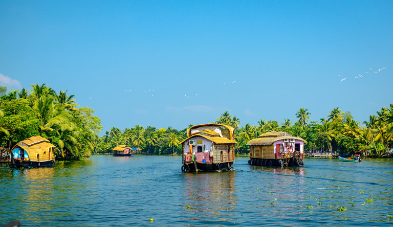house-boats-in-the-backwaters-alleppey-kerala-india