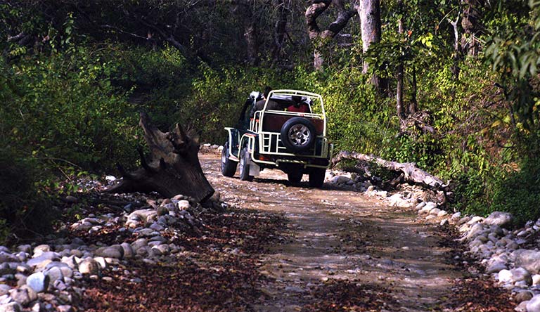 jeepsafari-jim-corbett-uttarakhand-india.jpg