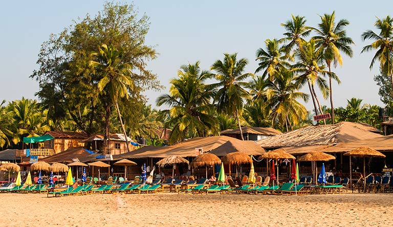 palm-trees-and-reed-huts-on-a-goa-india