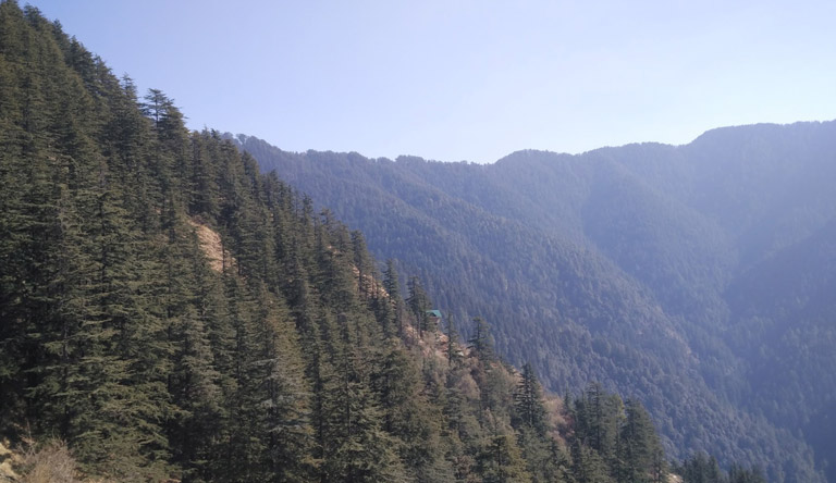 green-valley-shimla-himachal-india.jpg