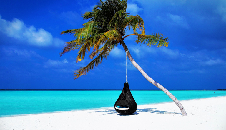 palm-tree-and-hammock--beach-coast-male-maldives