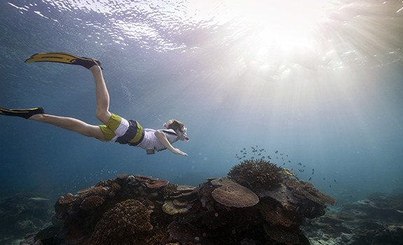 Gold Coast Scuba Diving Packages