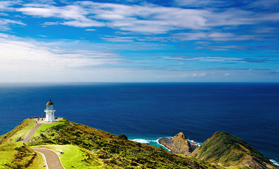 New Zealand Family Packages