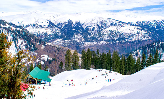 Manali Family Packages