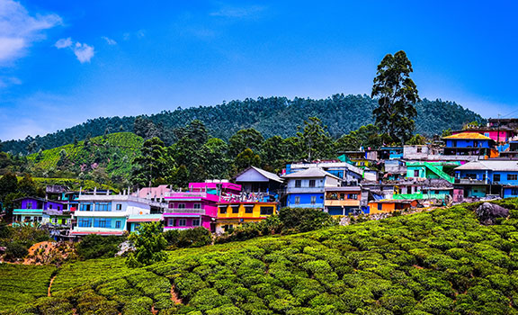 Munnar Family Packages