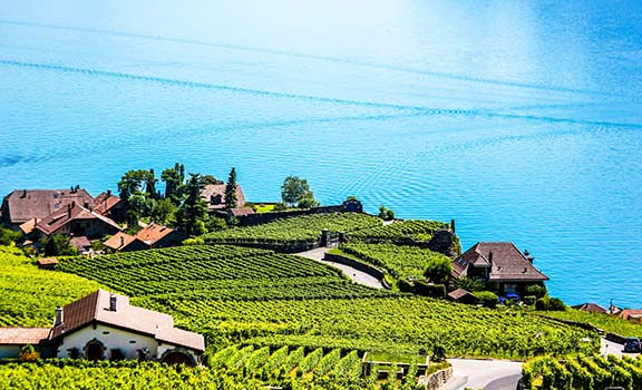 Montreux Honeymoon Packages