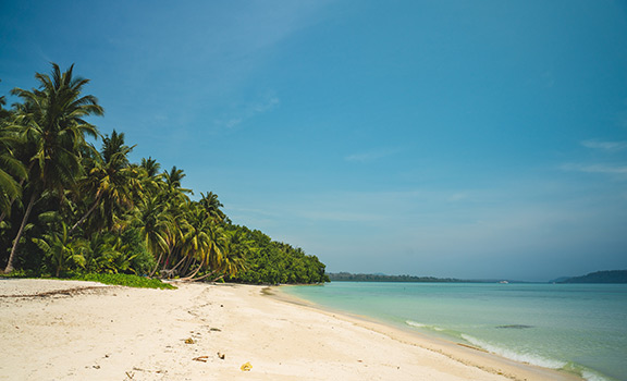 Havelock Island Tourism Packages
