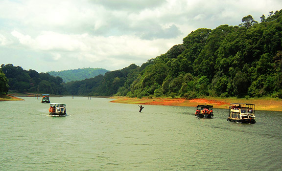 Thekkady Tourism Packages